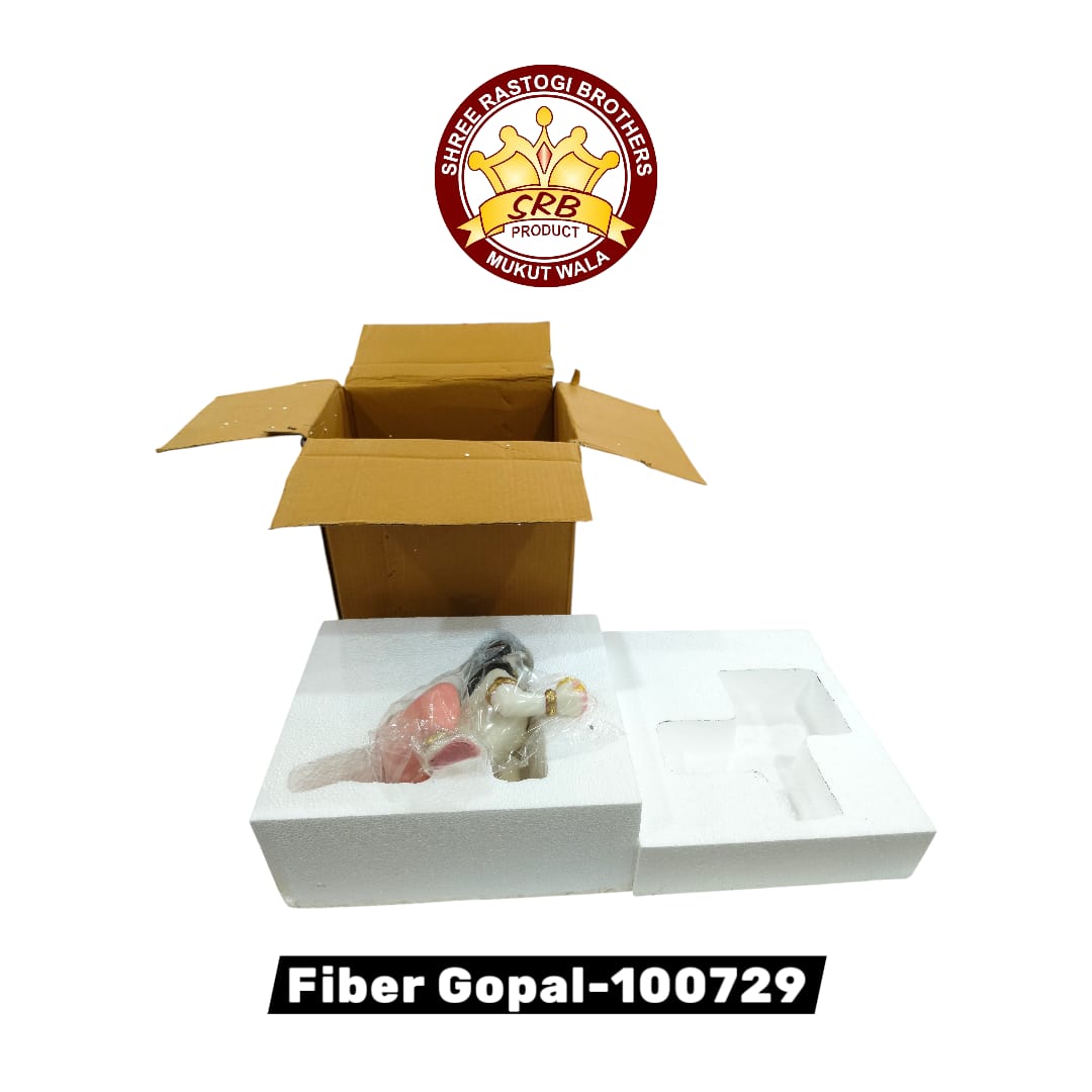 Fiber Gopal - 100729